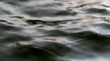 yüzey su döngüsü