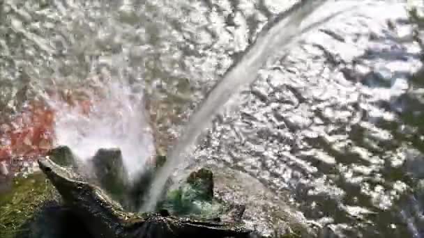 Садовый украшение воды 1 — стоковое видео