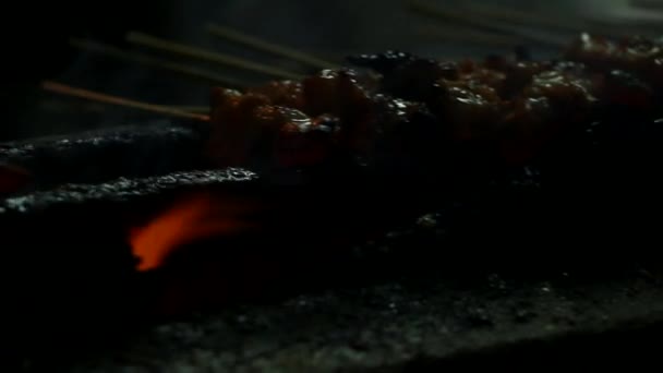 Satay 1 — Stock Video