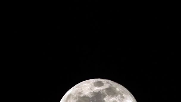 Super Moon Fermer 2 — Video