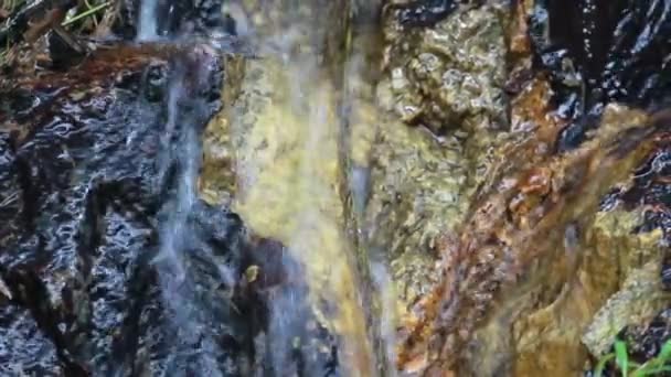Petite cascade