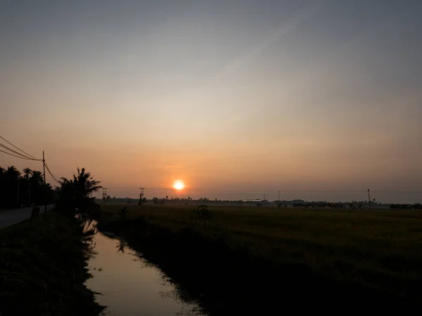最低雲と熱帯の朝の自然の光の中で水田 — ストック写真