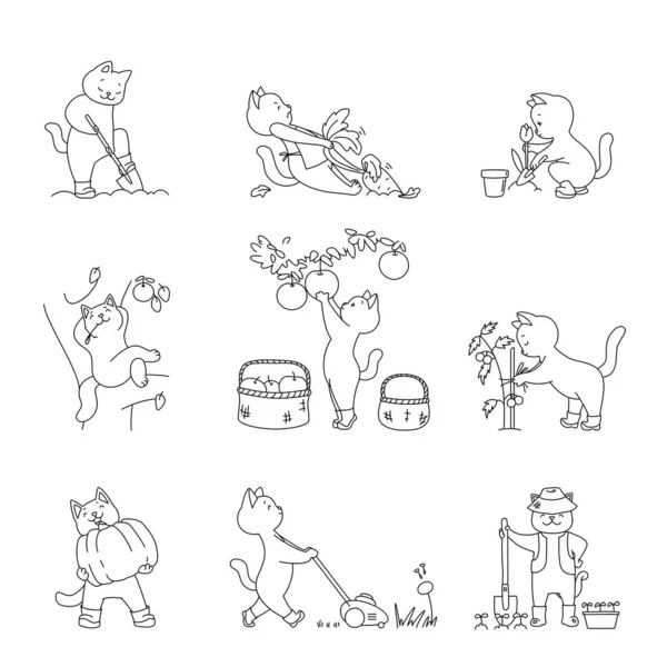 Collection Cute Gardener Kittens Cute Illustrations Funny White Cats Working — Vetor de Stock