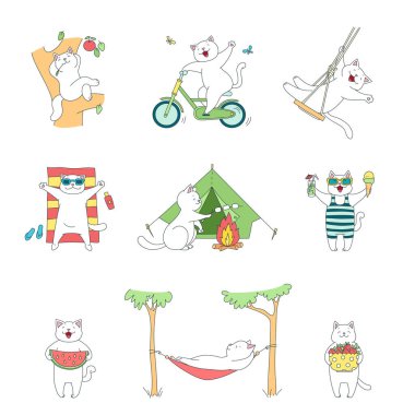 Collection of kittens enjoying summer. Cute illustrations of funny white cats sunbathing, riding a bike, swinging on a swing and eating fruits. Vector 10 EPS.