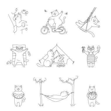 Collection of kittens enjoying summer. Cute illustrations of funny white cats sunbathing, riding a bike, swinging on a swing and eating fruits. Vector 10 EPS.