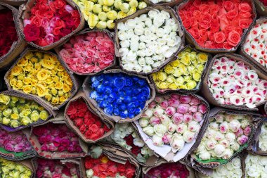 Satılık birlikte gül