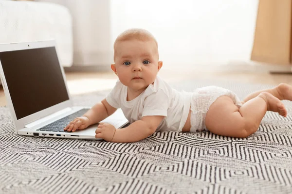 Gri halıda, ışık odasındaki pencereye yaslanmış, kameraya bakan, taşınabilir bilgisayarın yanında boş bir ekran ve fotokopi alanı olan sevimli bir bebek..
