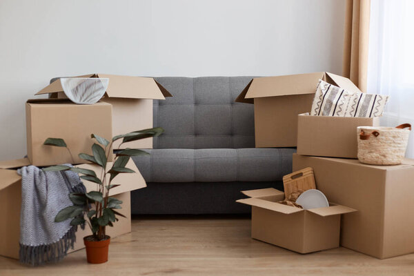 Indoor shot of apartment with lots cardboard boxes, gray sofa full of carton parcels with personal belongings, flower pot with flower on floor, relocating, moving in a new flat.