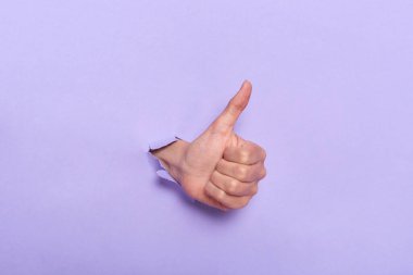 Close up of person's hand with thumb up through hole in purple paper wall, demonstrating approval like gesture, satisfaction of done work. Banner for sales.