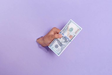 One hundred dollar banknotes in human's hand breaking through purple paer wall, unknown hand, reaching out with money, proposing money, paying, and offering us banknotes.