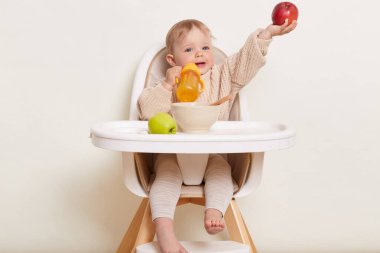 Image of charming baby wearing beige sweater sitting in a child's chair, isolated on a white background, infant kid holding yellow bottle of water and giving red apple to someone.