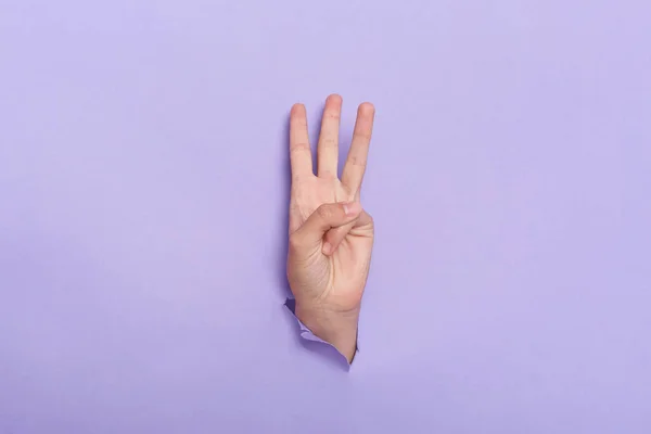 Indoor Shot Human Hand Sticks Out Hole Paper Isolated Purple — Foto de Stock