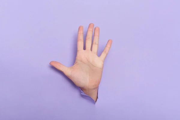 Photo Person Hand Breaking Hole Purple Paper Showing Five Fingers — Foto de Stock