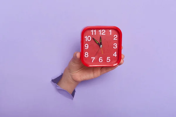 Indoor shot of human\'s hand holding a red alarm clock, watch in a hole on a purple background, time to go, deadline.
