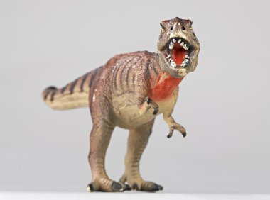 Tyrannosaur rex face to face clipart