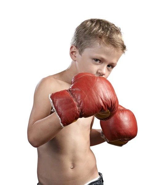 Schattige kleine jongen met bokshandschoenen geïsoleerd op wit — Stockfoto