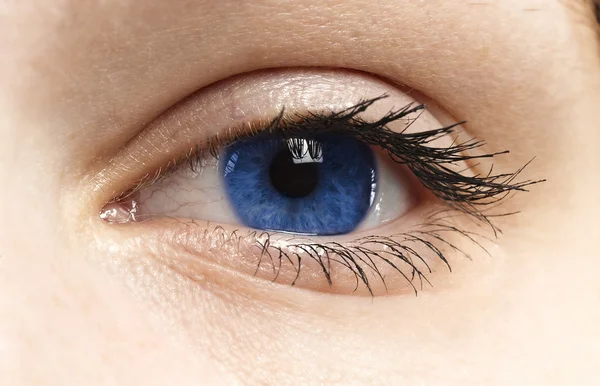 Olho azul mulher com pestanas longas — Fotografia de Stock