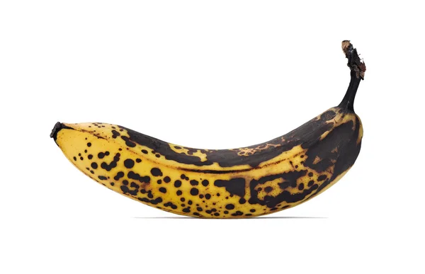 Zgniłych bananów na białym tle na białym tle — Zdjęcie stockowe