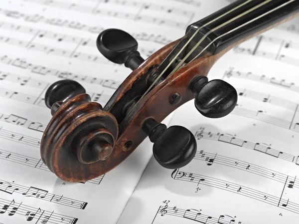 Violin huvud — Stockfoto