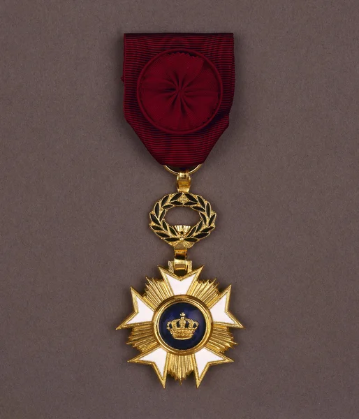 Медаль "За винтажную спинку" — стоковое фото