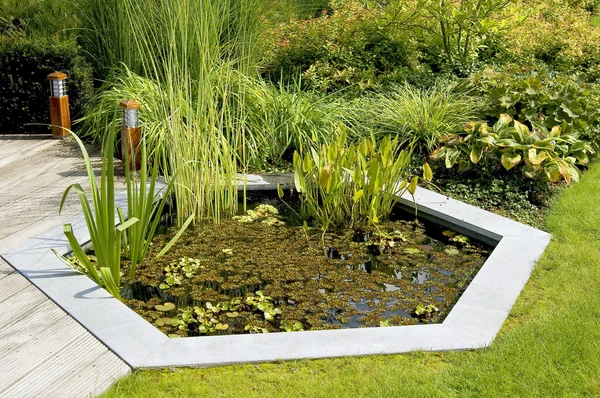 Garden Pond — Stock Photo, Image