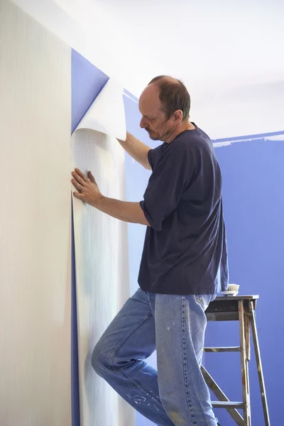 Homem colocando papel de parede — Fotografia de Stock