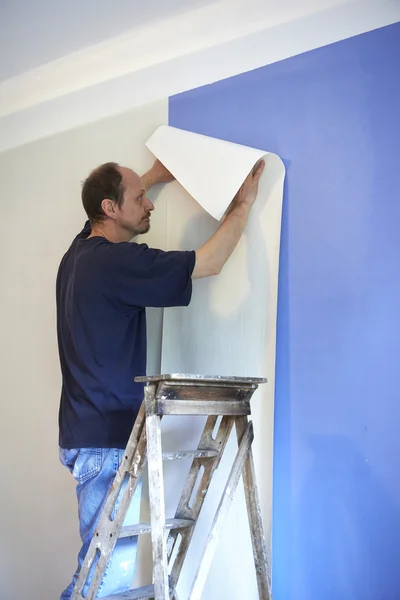 Man putting up wallpaper — Stock Image Man putting up wallpaper Stock Image