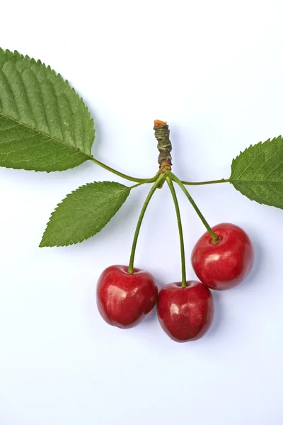 Sweet ripe cherry with leaf — Stock Photo, Image