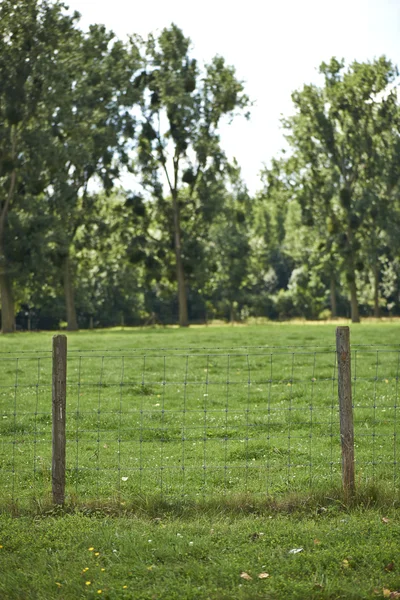 Fencepost and Meadows — Stock Photo, Image