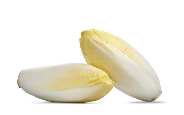 Two fresh Chicory on white background — Stock Photo, Image