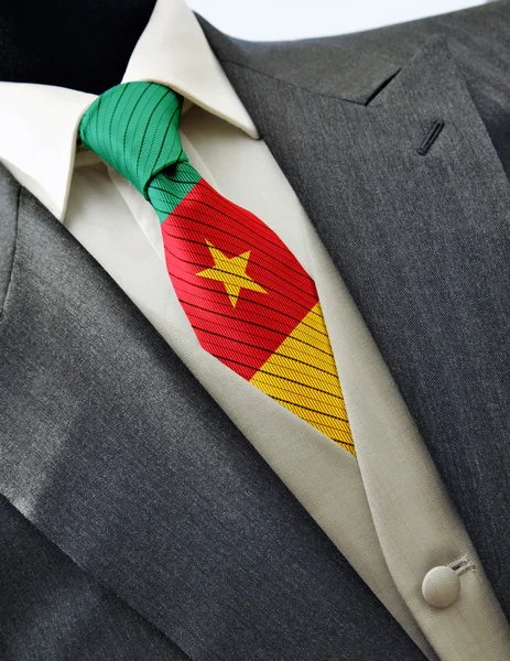 Hochzeitskleid mit Kamerunflagge auf Krawatte — Stockfoto