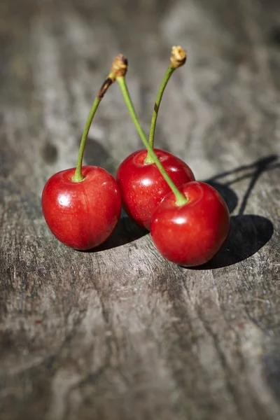 Cherry time — Stock Photo, Image