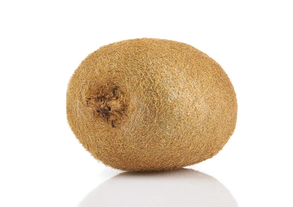 Juicy kiwi fruit isolated — Stock Photo, Image
