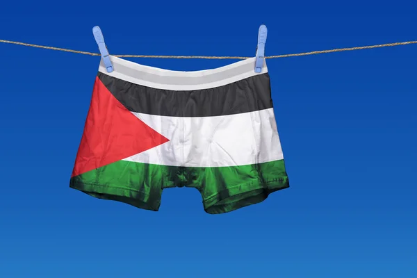 Underwear with the Palestine flag on a string