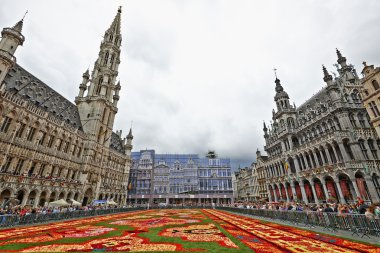 Brüksel 'deki Grand Place' de dev halı.