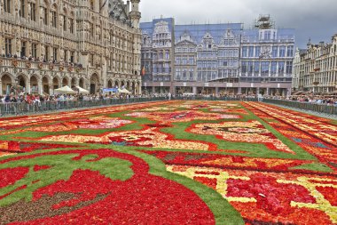 Brüksel 'deki Grand Place' de dev halı.