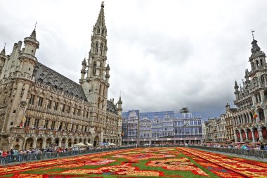 Brüksel 'deki Grand Place' de dev halı.