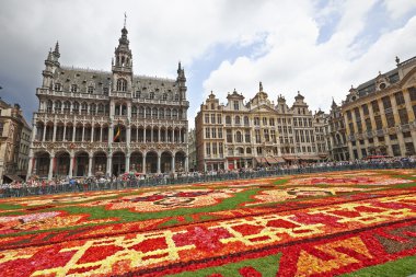 Brüksel 'deki Grand Place' de dev halı.