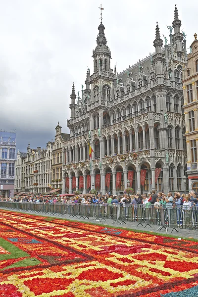 Giant carpet at Grand Place in Brussels — Stock Photo, Image