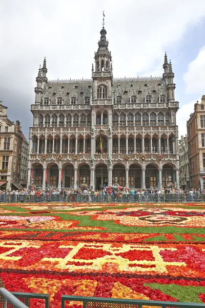 Alfombra gigante en la Grand Place de Bruselas —  Fotos de Stock