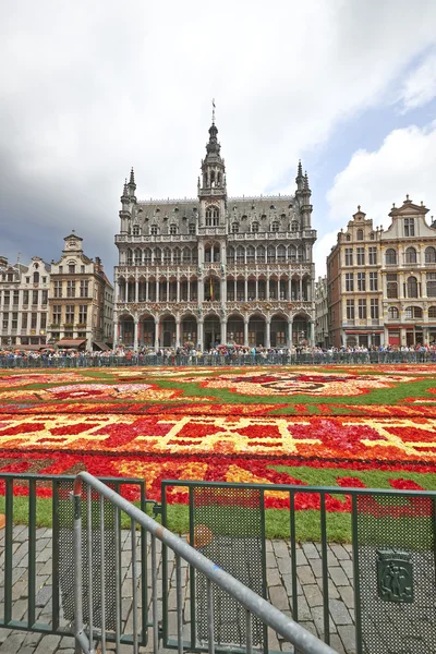 Riesiger Teppich am Grand Place in Brüssel — Stockfoto