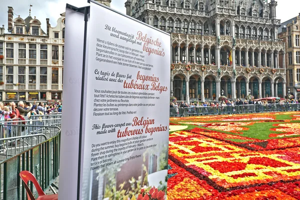 Giant χαλί στο Grand Place στις Βρυξέλλες — Φωτογραφία Αρχείου