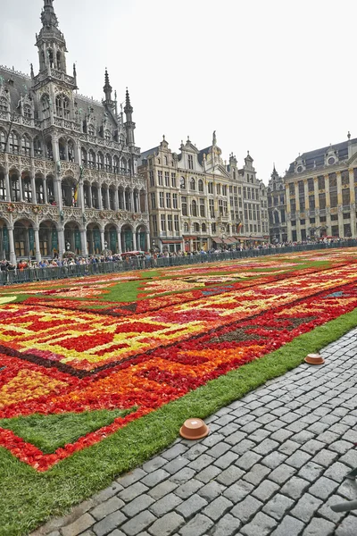 Riesiger Teppich am Grand Place in Brüssel — Stockfoto