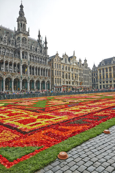 Гигантский ковер на площади Гран-Плас в Брюсселе
