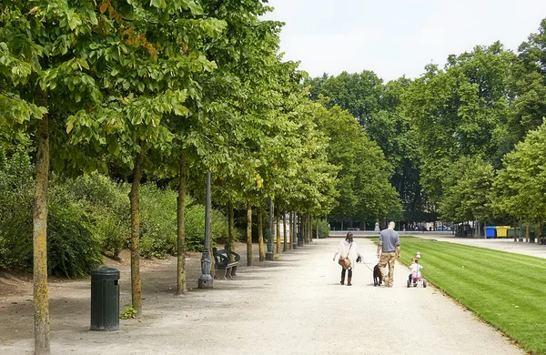 Familia con una niña dando un paseo con un perro —  Fotos de Stock