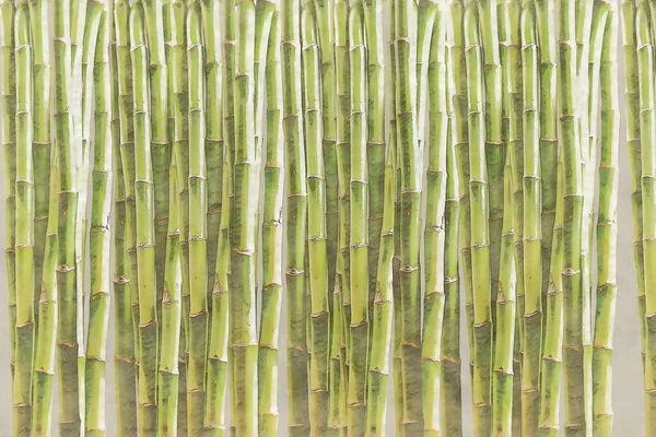 Illustration Sketch Green Bamboo Wall Backround Front View — Foto Stock