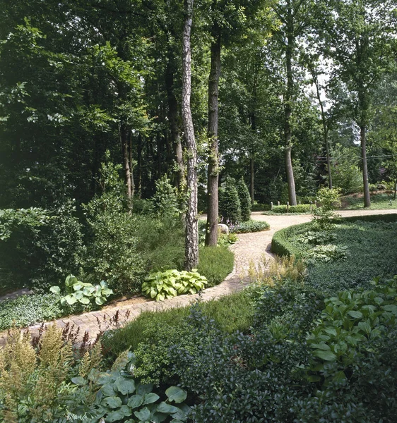 Pebbles Pathway Botanic Wooden Garden — Foto de Stock