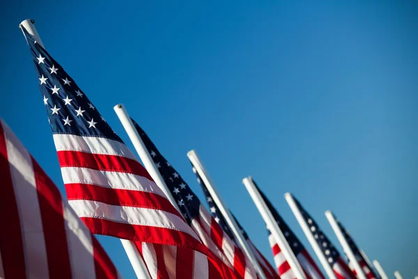 US-amerikanische Flaggen in einer Reihe — Stockfoto