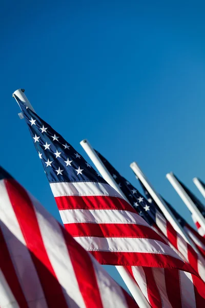 US-amerikanische Flaggen in einer Reihe Stockbild
