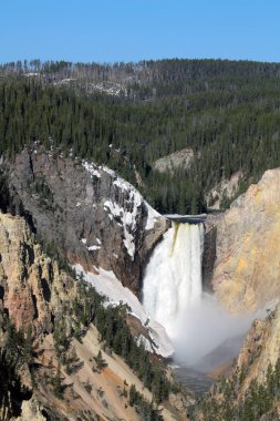 Yellowstone Millî Parkı - aşağı düşüyor